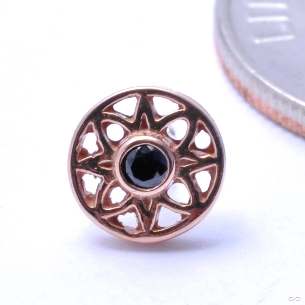 Mini Paloma Flower Press-fit End in Gold from BVLA - Image 2