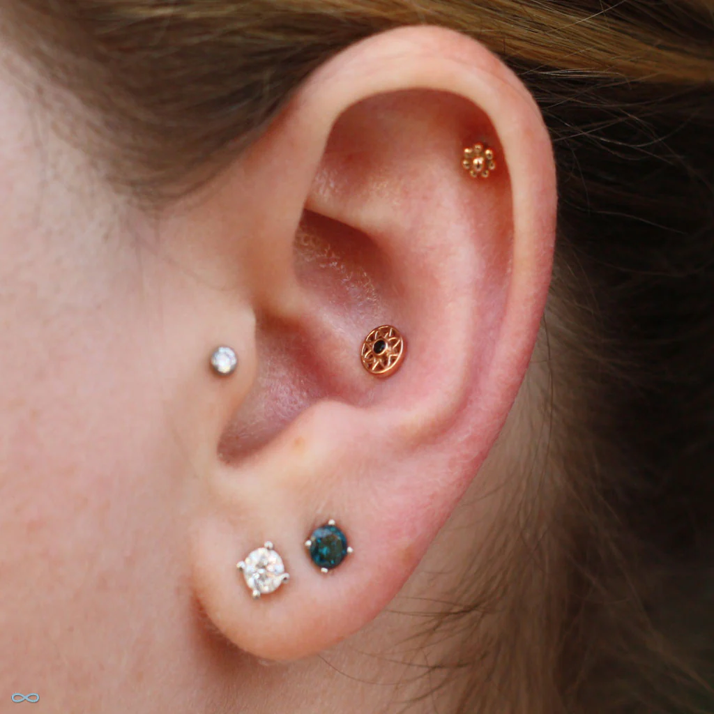 Mini Paloma Flower Press-fit End in Gold from BVLA - Image 6