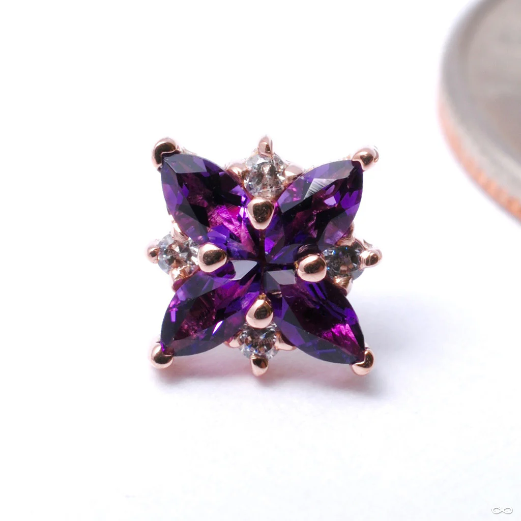 Mini Pleades Press-fit End in Gold from BVLA - Image 3