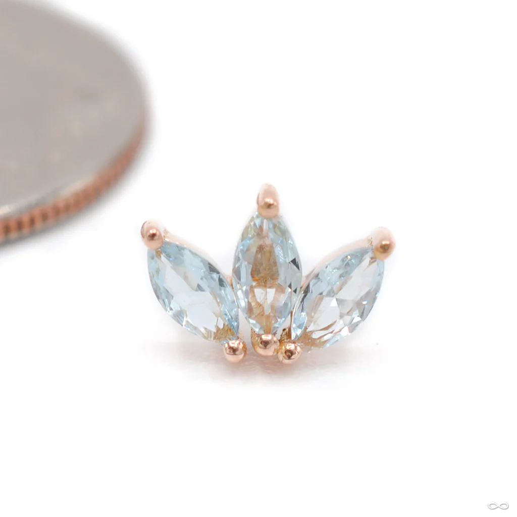 Moet Press-fit End in Gold from Buddha Jewelry - Image 11