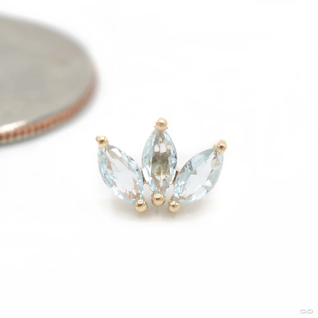 Moet Press-fit End in Gold from Buddha Jewelry - Image 13
