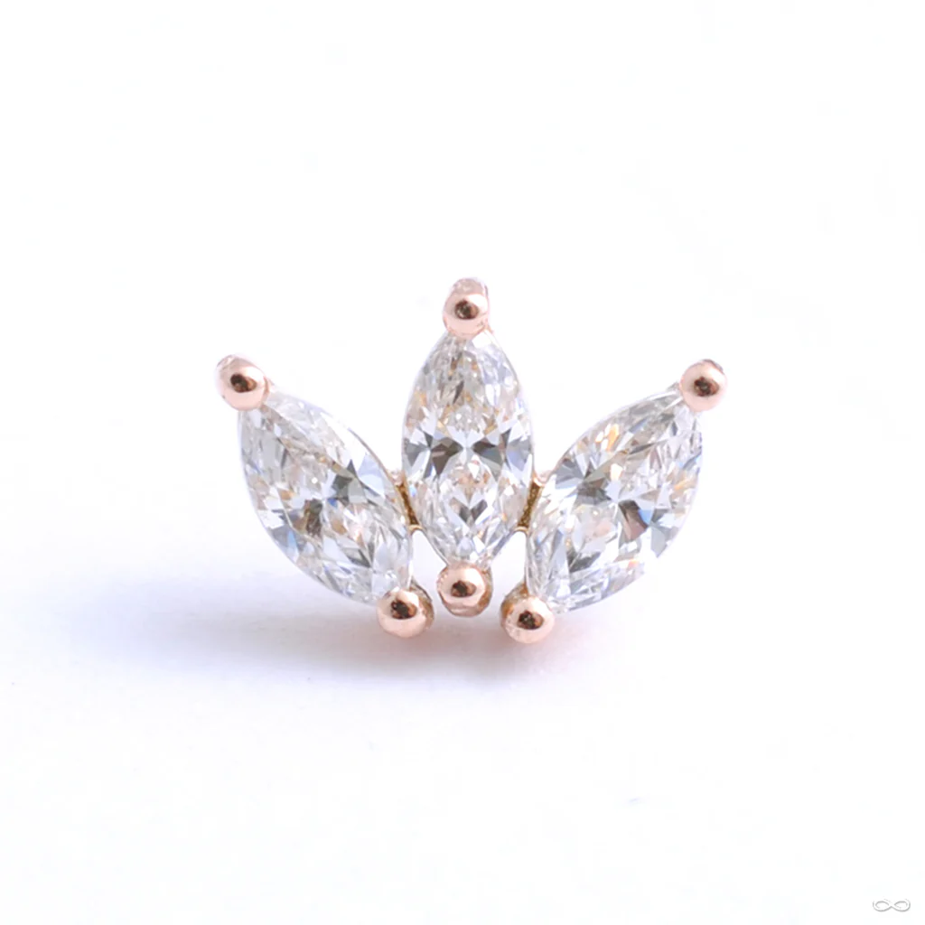Moet Press-fit End in Gold from Buddha Jewelry - Image 3