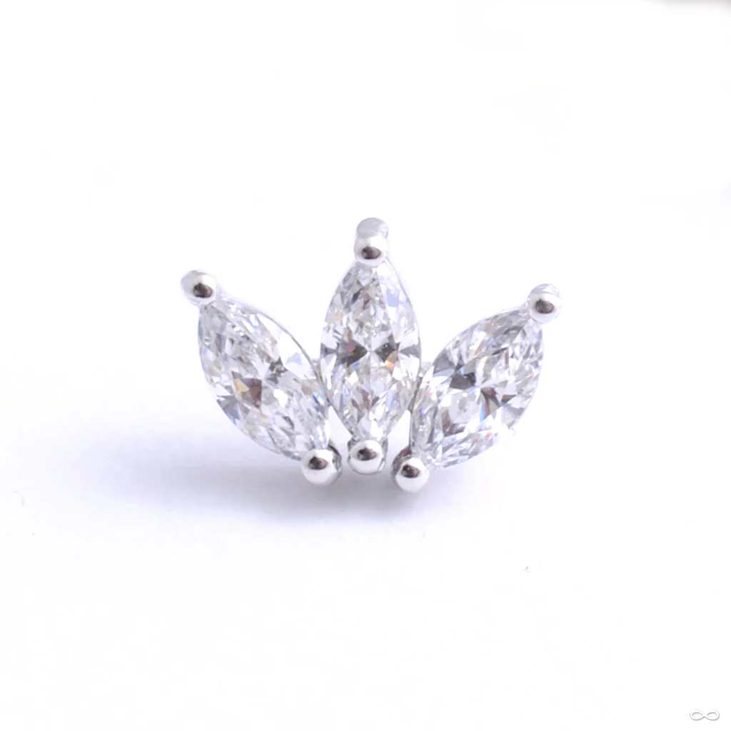Moet Press-fit End in Gold from Buddha Jewelry - Image 4