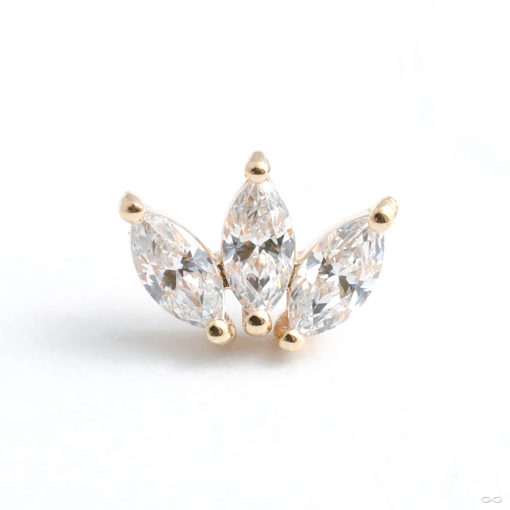 Moet Press-fit End in Gold from Buddha Jewelry - Image 5