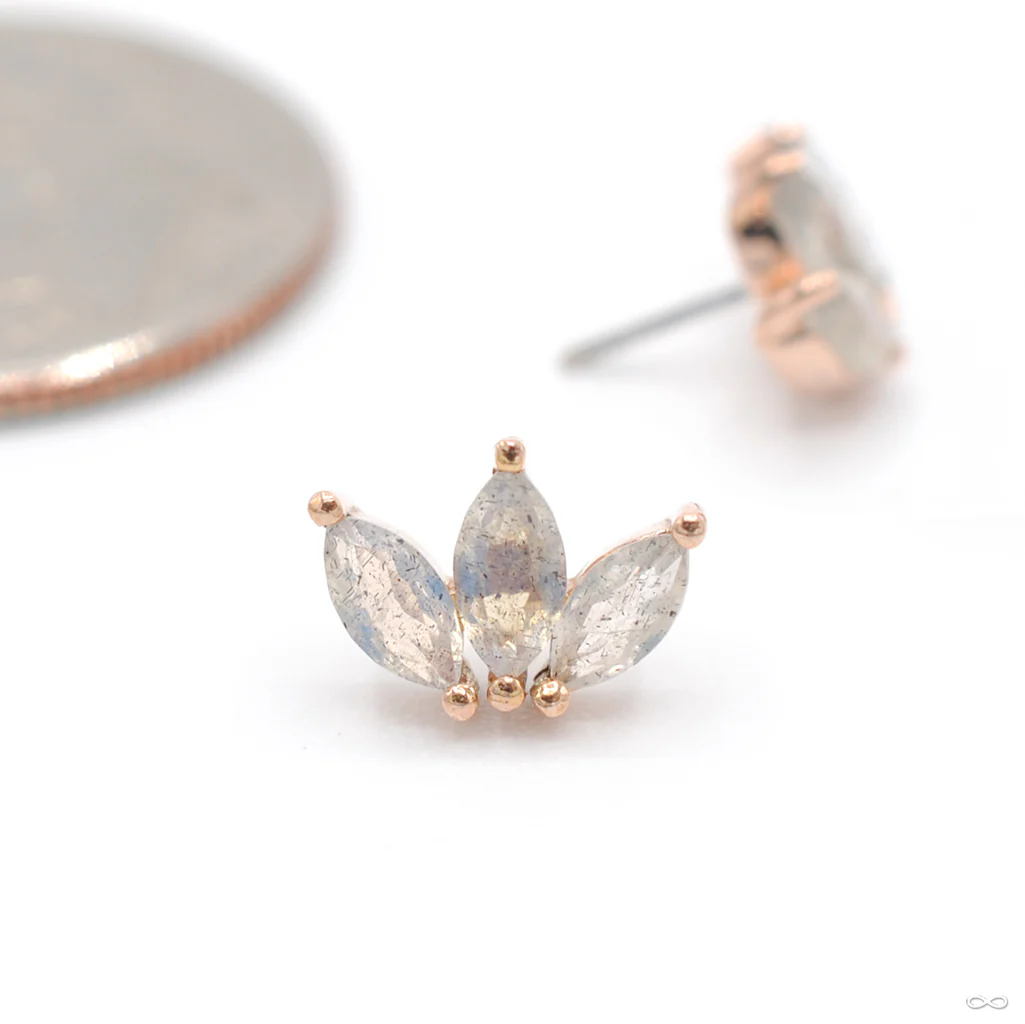 Moet Press-fit End in Gold from Buddha Jewelry - Image 6
