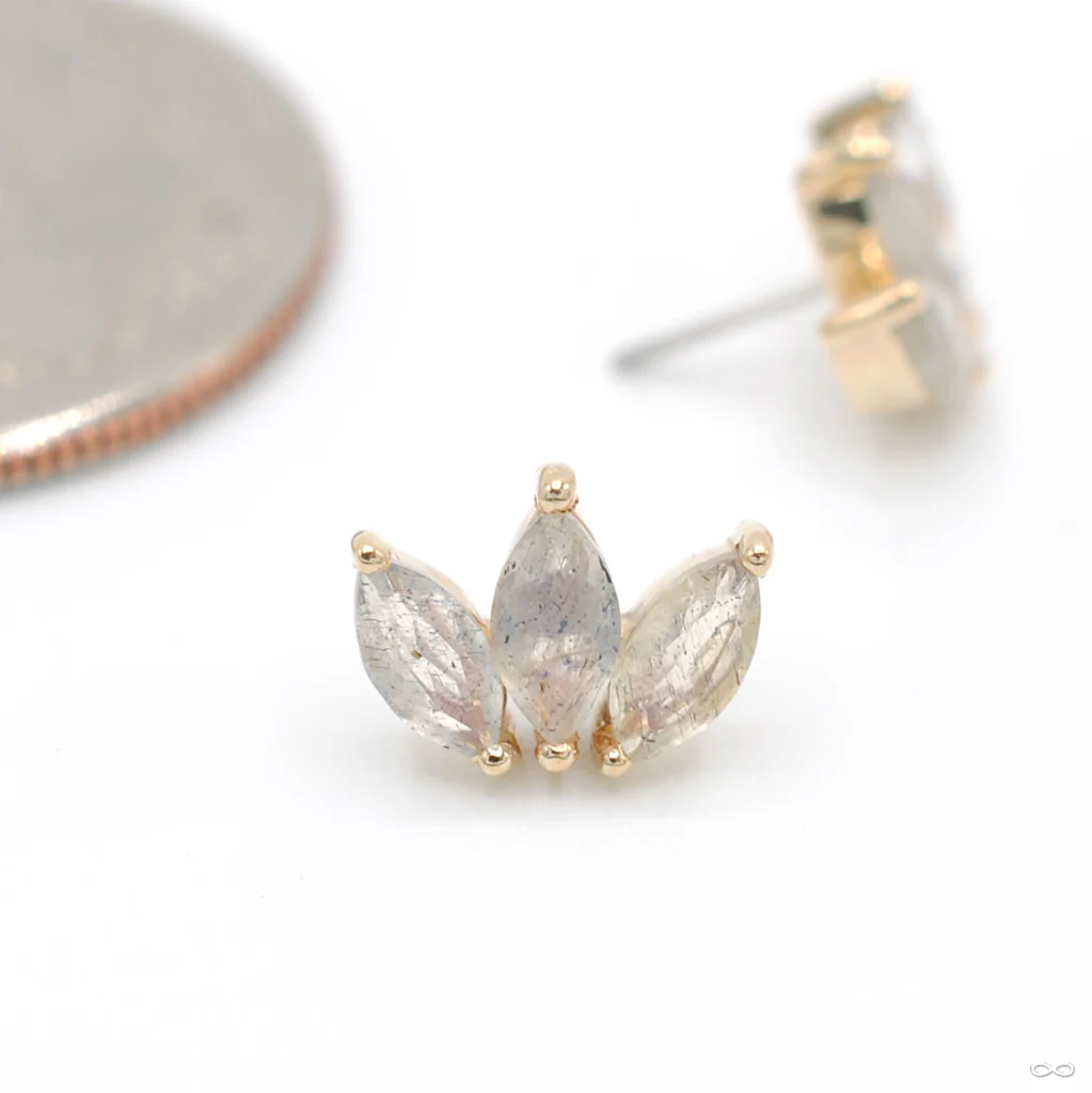 Moet Press-fit End in Gold from Buddha Jewelry - Image 7