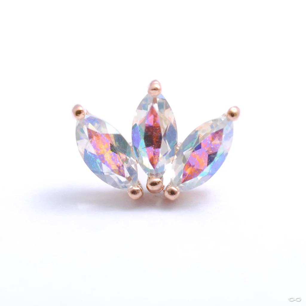 Moet Press-fit End in Gold from Buddha Jewelry - Image 8