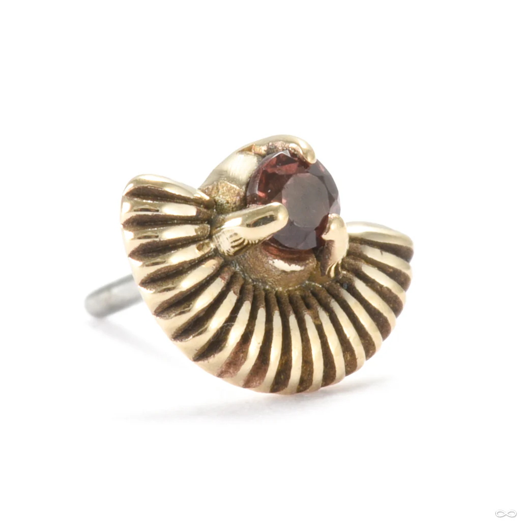 Much Ado Press-fit End in Gold from Sacred Symbols