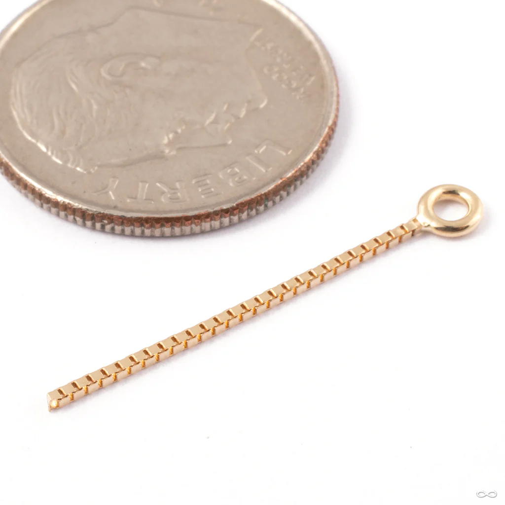 Nexus 1 Charm in Gold from Tether Jewelry