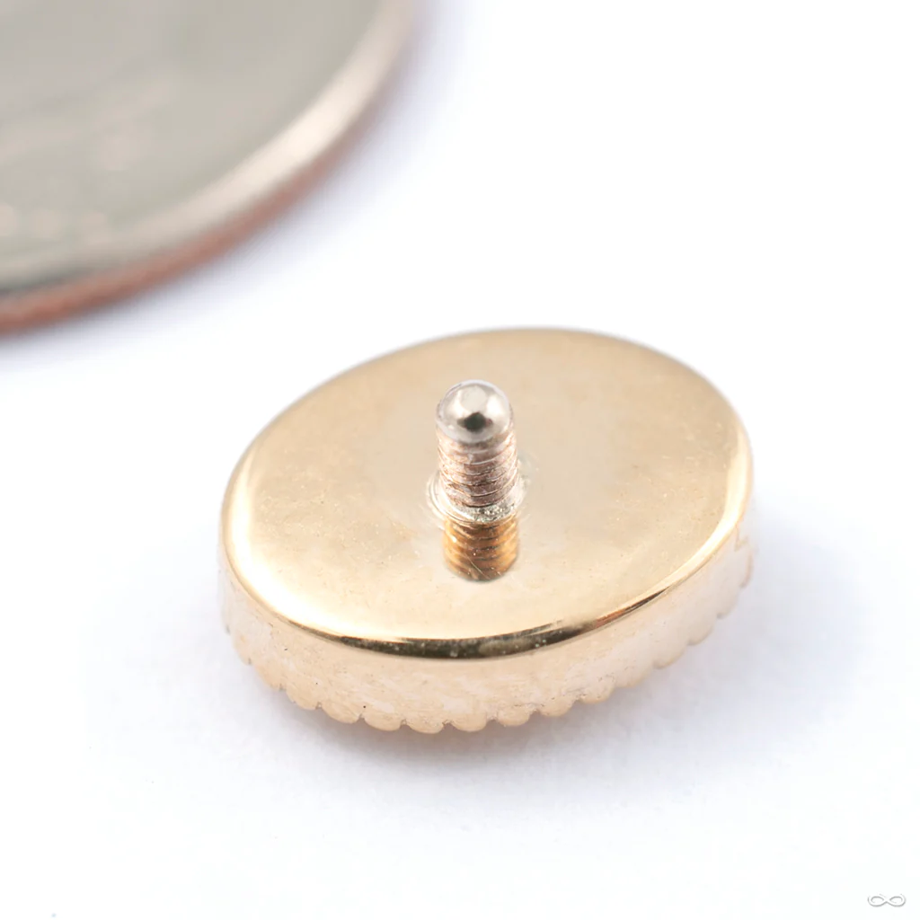 Oval Millgrain Threaded End in Gold from BVLA - Image 2