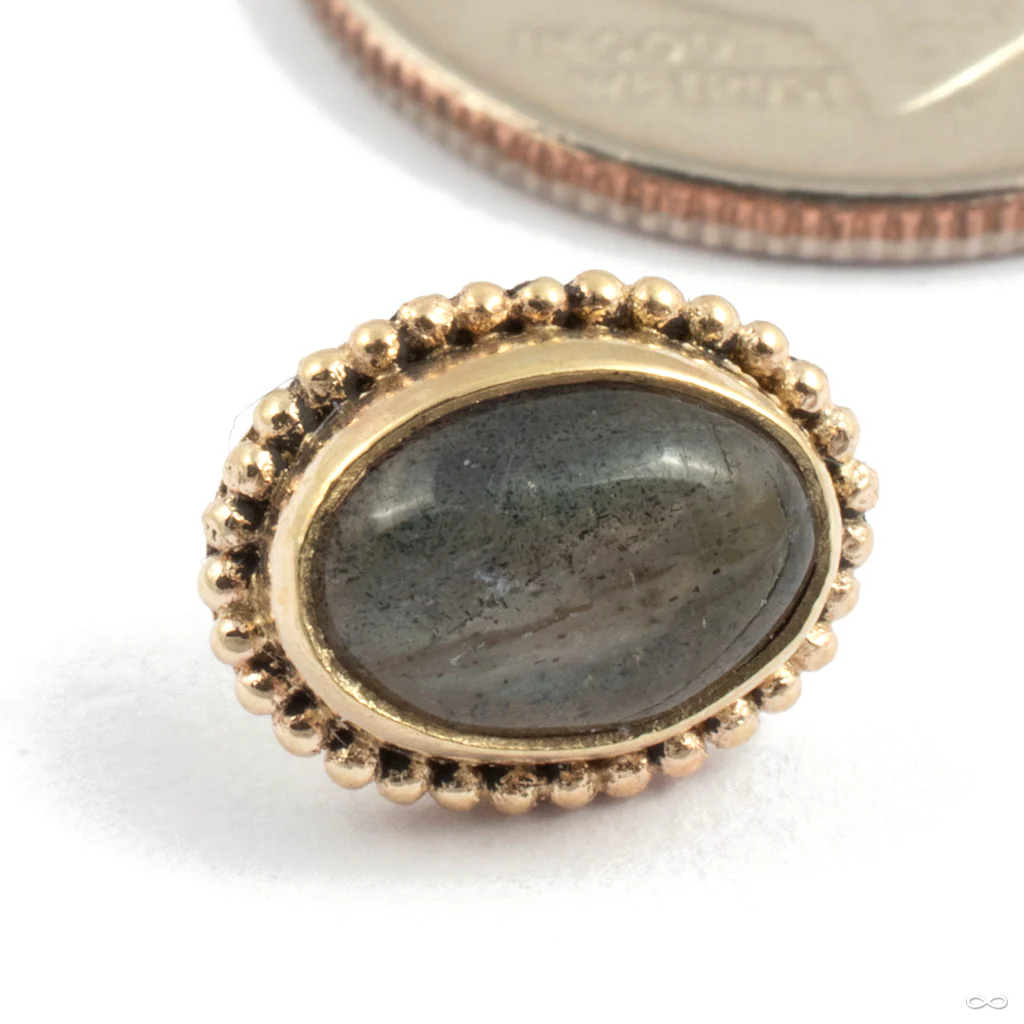 Oval Press-Fit End in Gold from Oracle - Image 2
