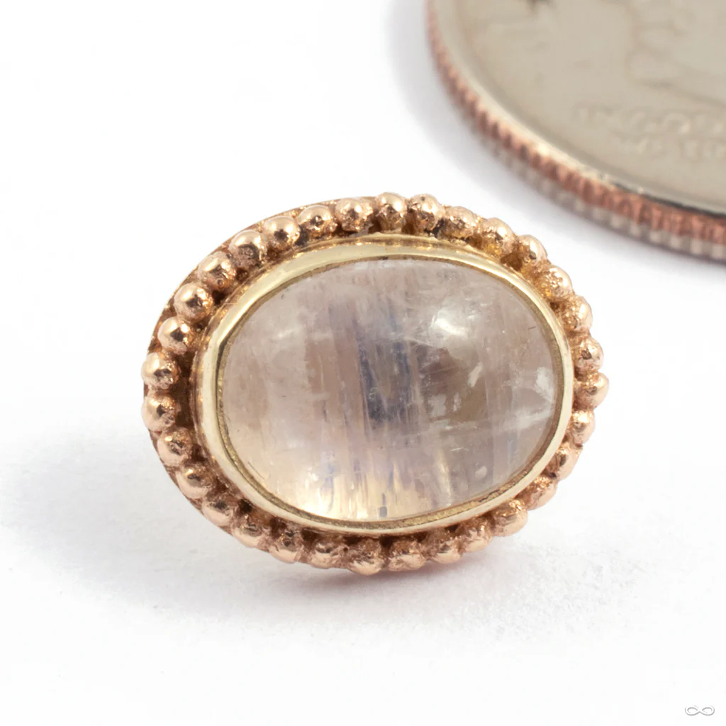 Oval Press-Fit End in Gold from Oracle - Image 3