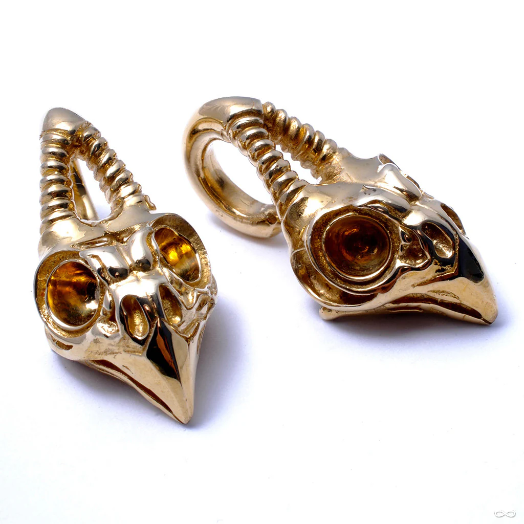 Owl Skull Weights from Tawapa