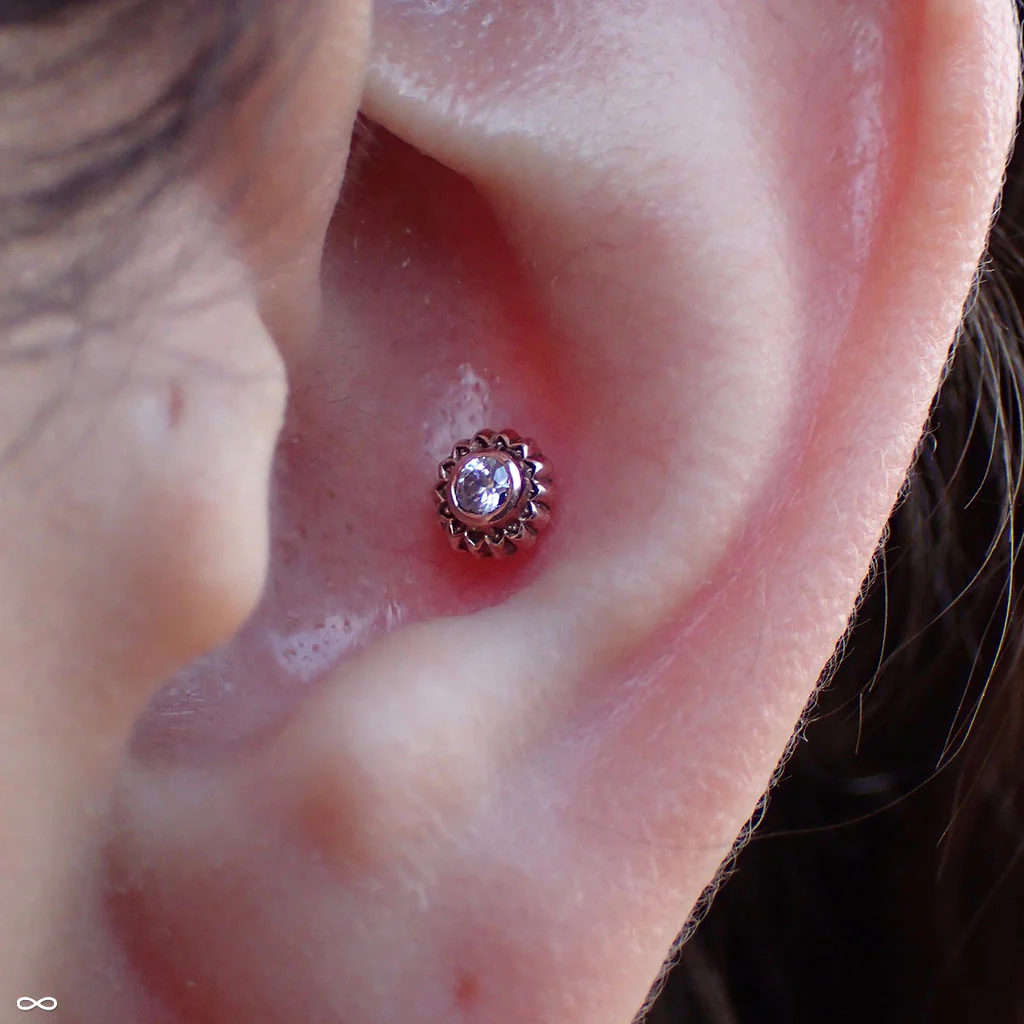 Peony Press-fit End in Gold from Maya Jewelry - Image 3