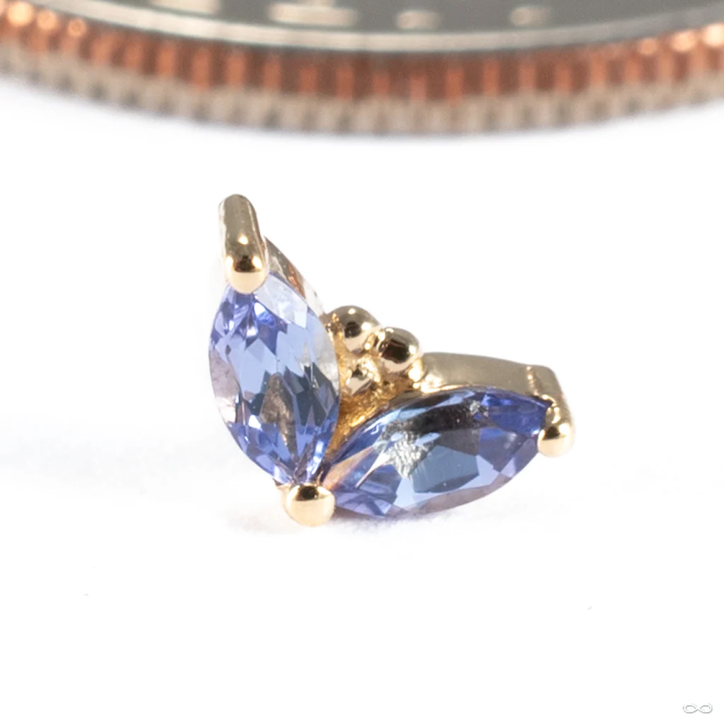 Petals Press-fit End in Gold from BVLA - Image 4