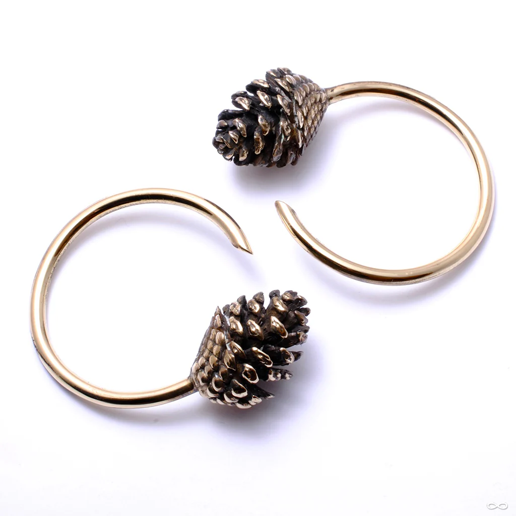 Pine Cone Weights from Eleven44