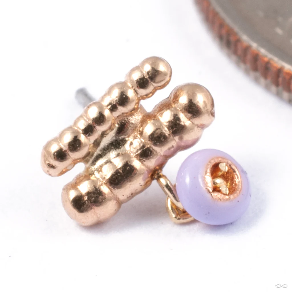 Pine Press-fit End in Gold from Pupil Hall
