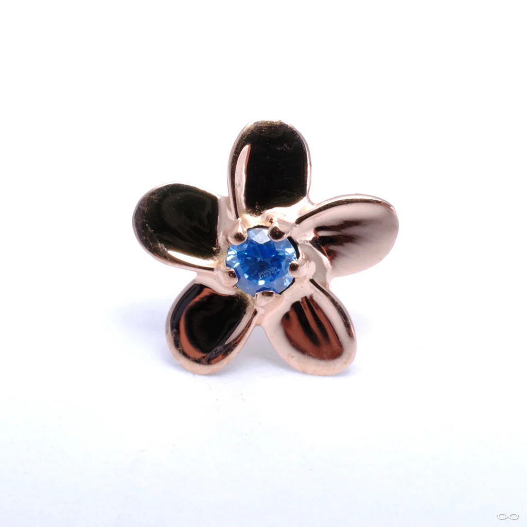 Plumeria Press-fit End in Gold from Anatometal - Image 3