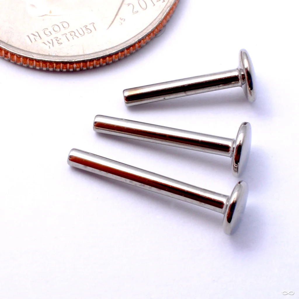 Press-fit Labret Post in Titanium from NeoMetal - Image 3