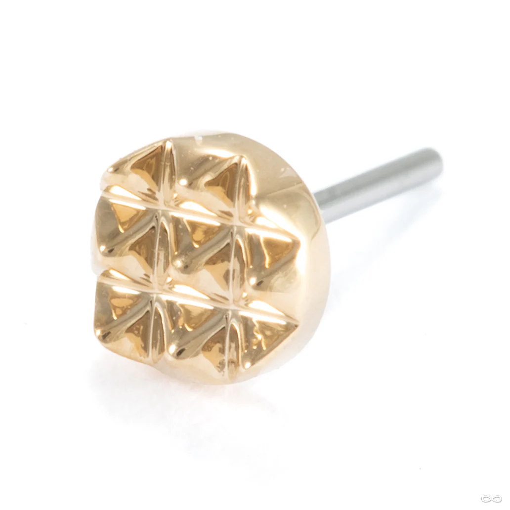Pyramid Disk Press-fit End in Gold from Modern Mood