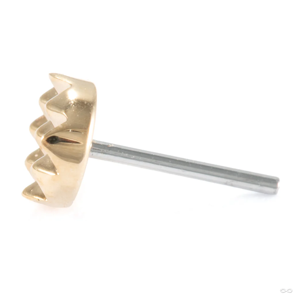 Pyramid Disk Press-fit End in Gold from Modern Mood - Image 2