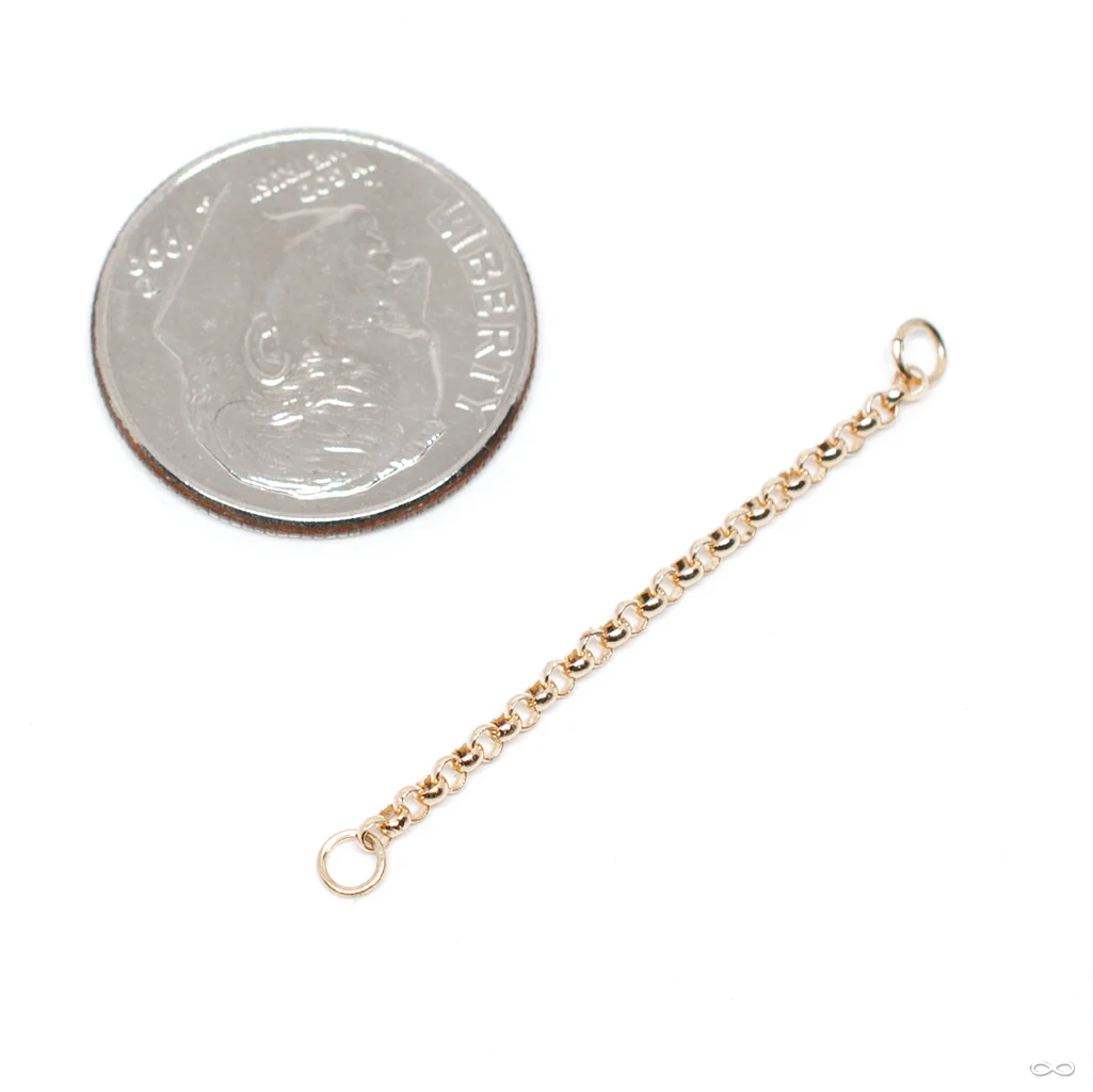 Rolo Chain in Gold from Hialeah - Image 3