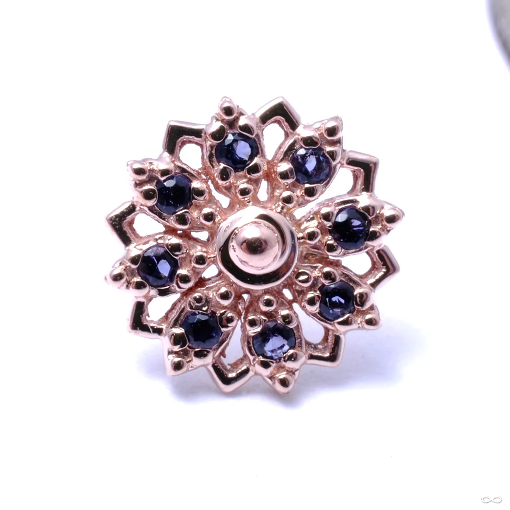 Rosette Press-fit End in Gold from BVLA