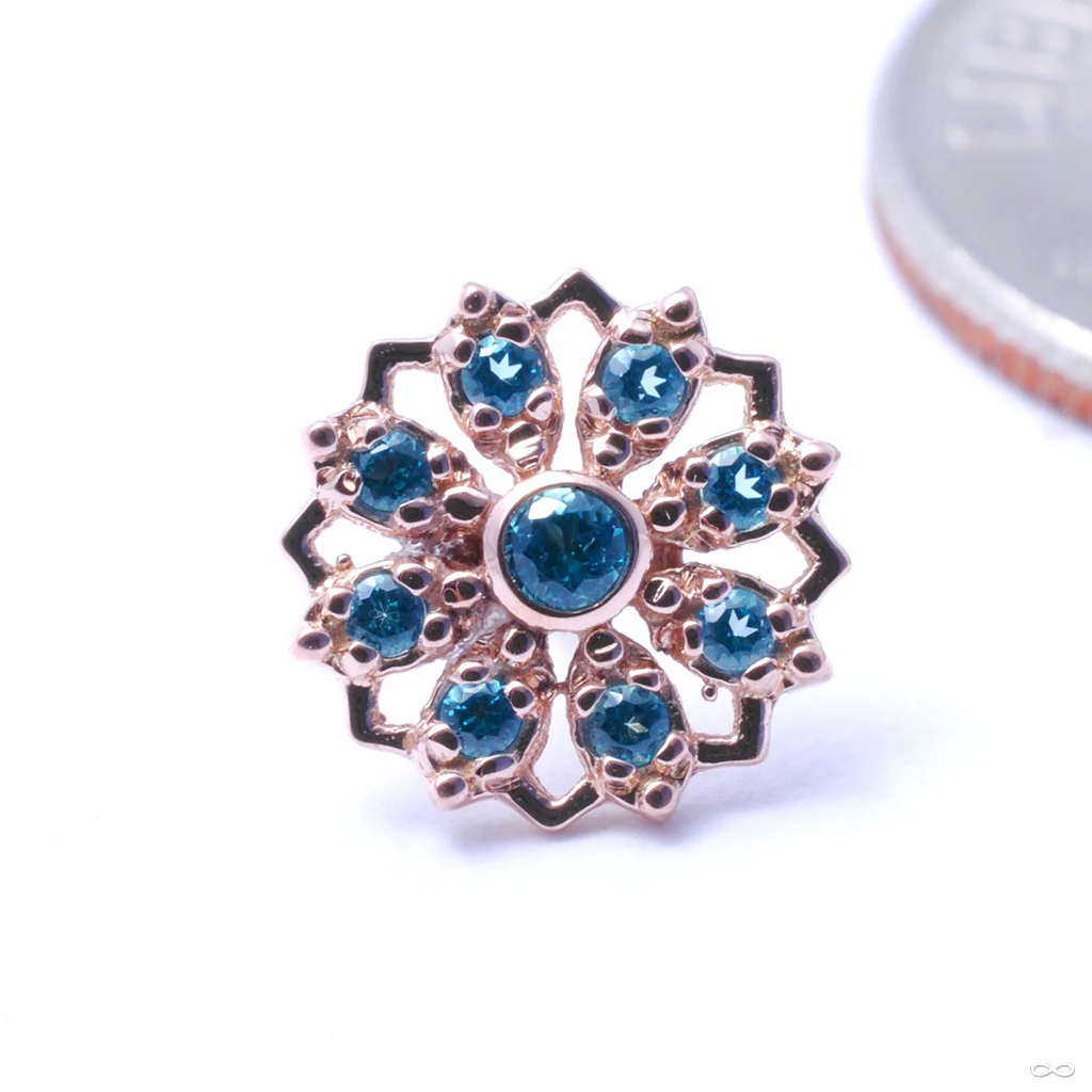 Rosette Press-fit End in Gold from BVLA - Image 2