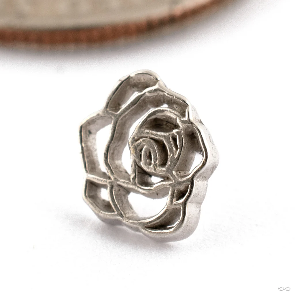 Rosette Press-fit End in Gold from Maya Jewelry - Image 2