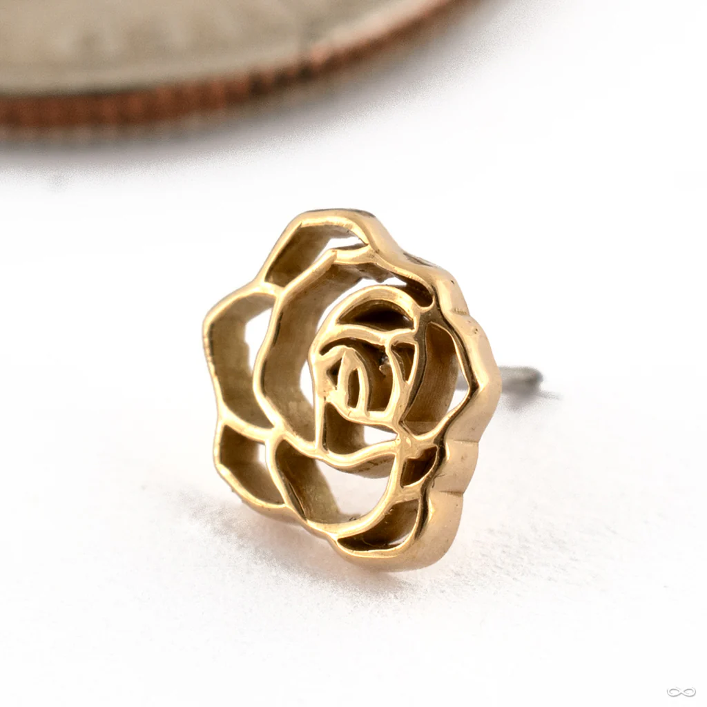Rosette Press-fit End in Gold from Maya Jewelry - Image 3