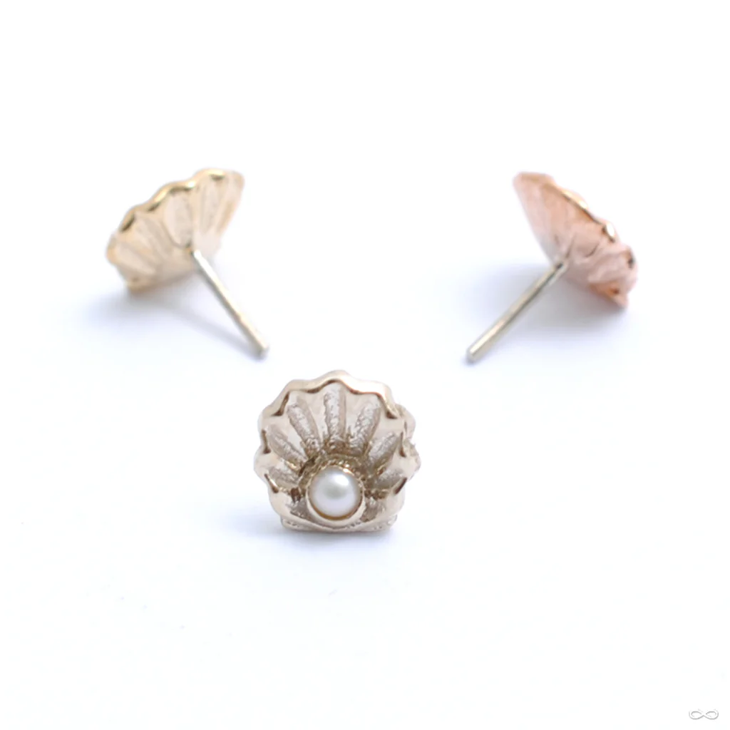 Scallop Press-fit End in Gold from BVLA - Image 2