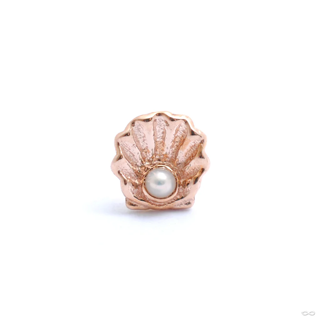 Scallop Press-fit End in Gold from BVLA - Image 3