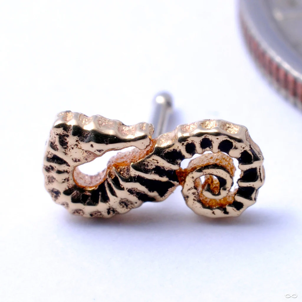 Seahorse Press-fit End in Gold from BVLA