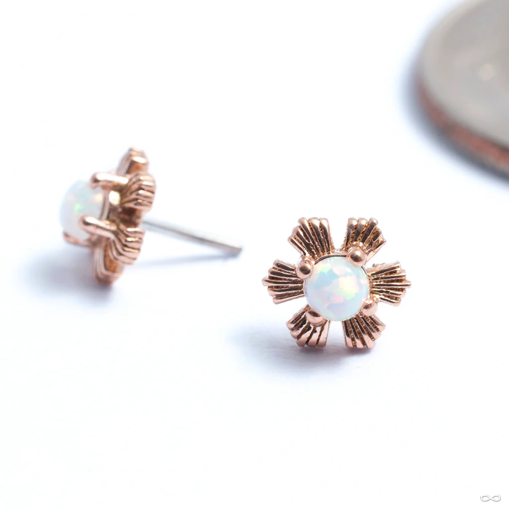 Season Press-fit End in Gold from Tawapa