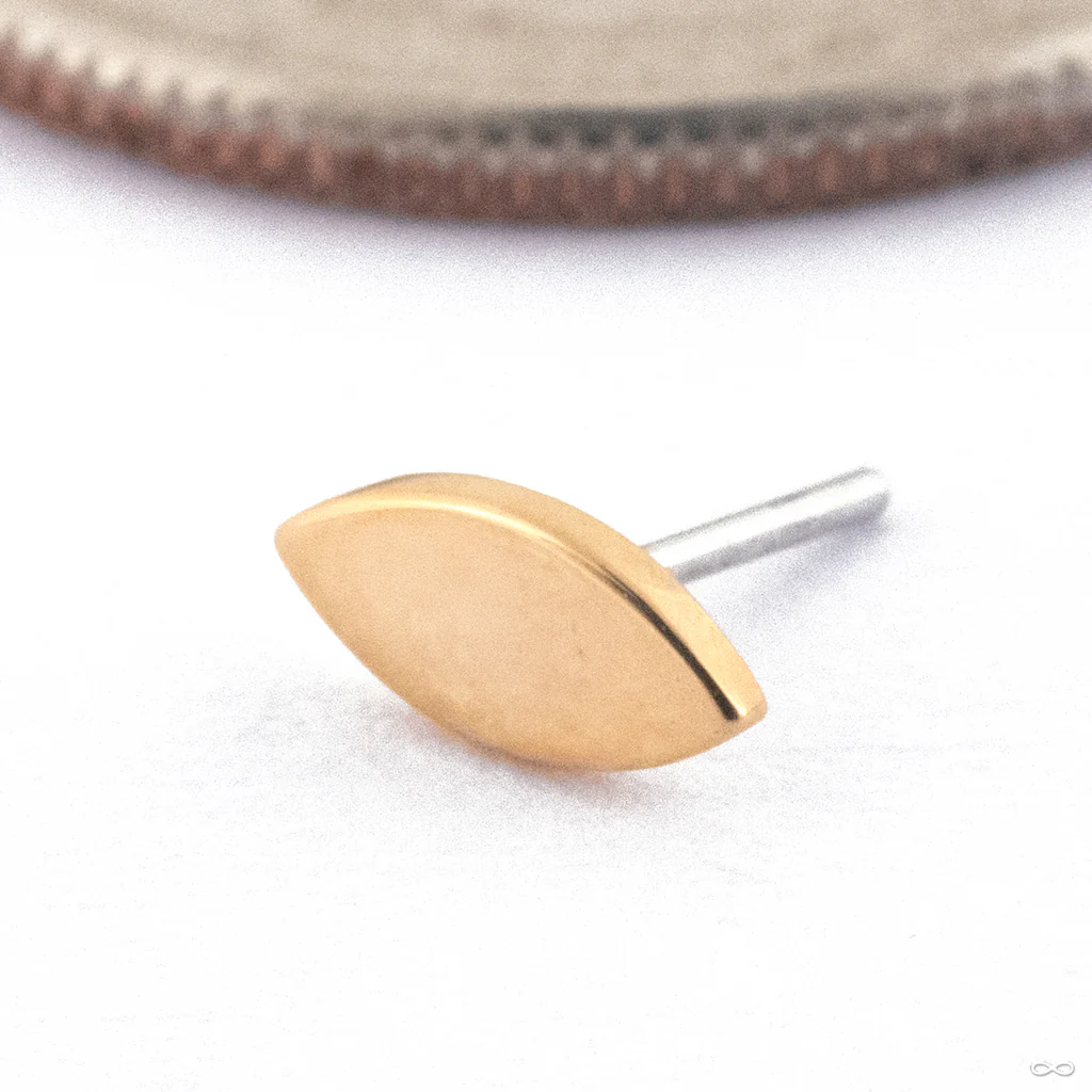 Seed Press-fit End in Gold from Quetzalli