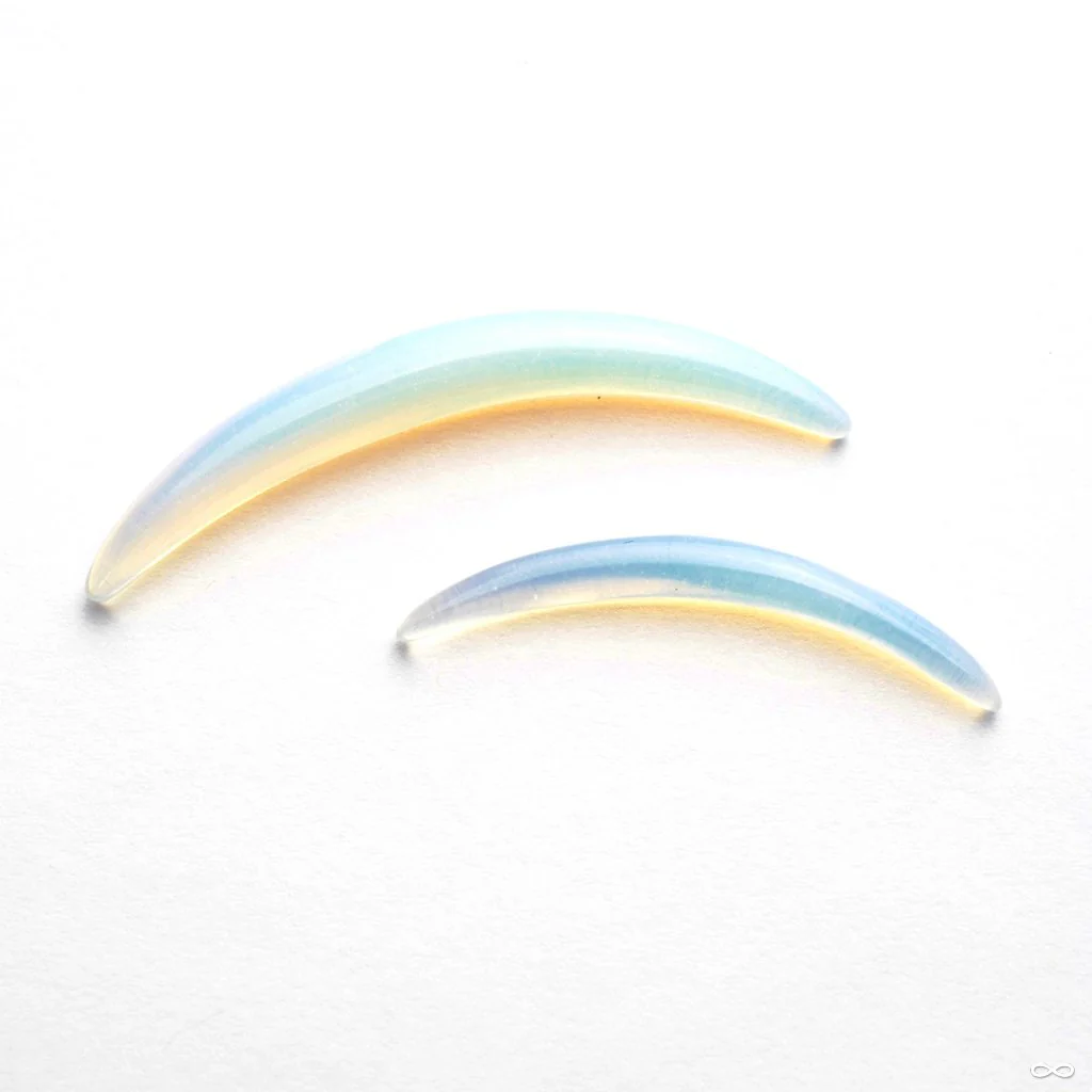 Septum Tusk in Stone from Oracle - Image 4