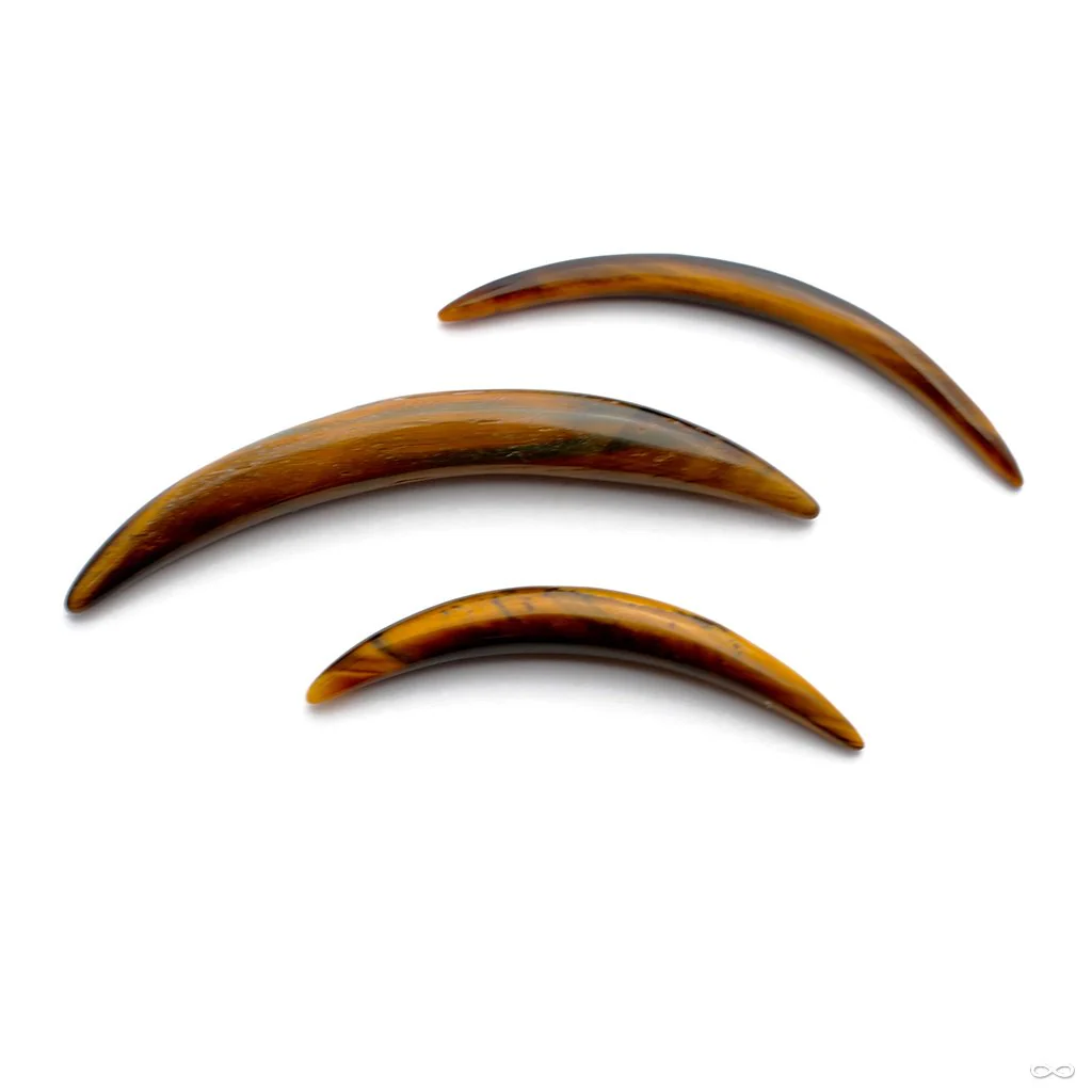 Septum Tusk in Stone from Oracle - Image 6