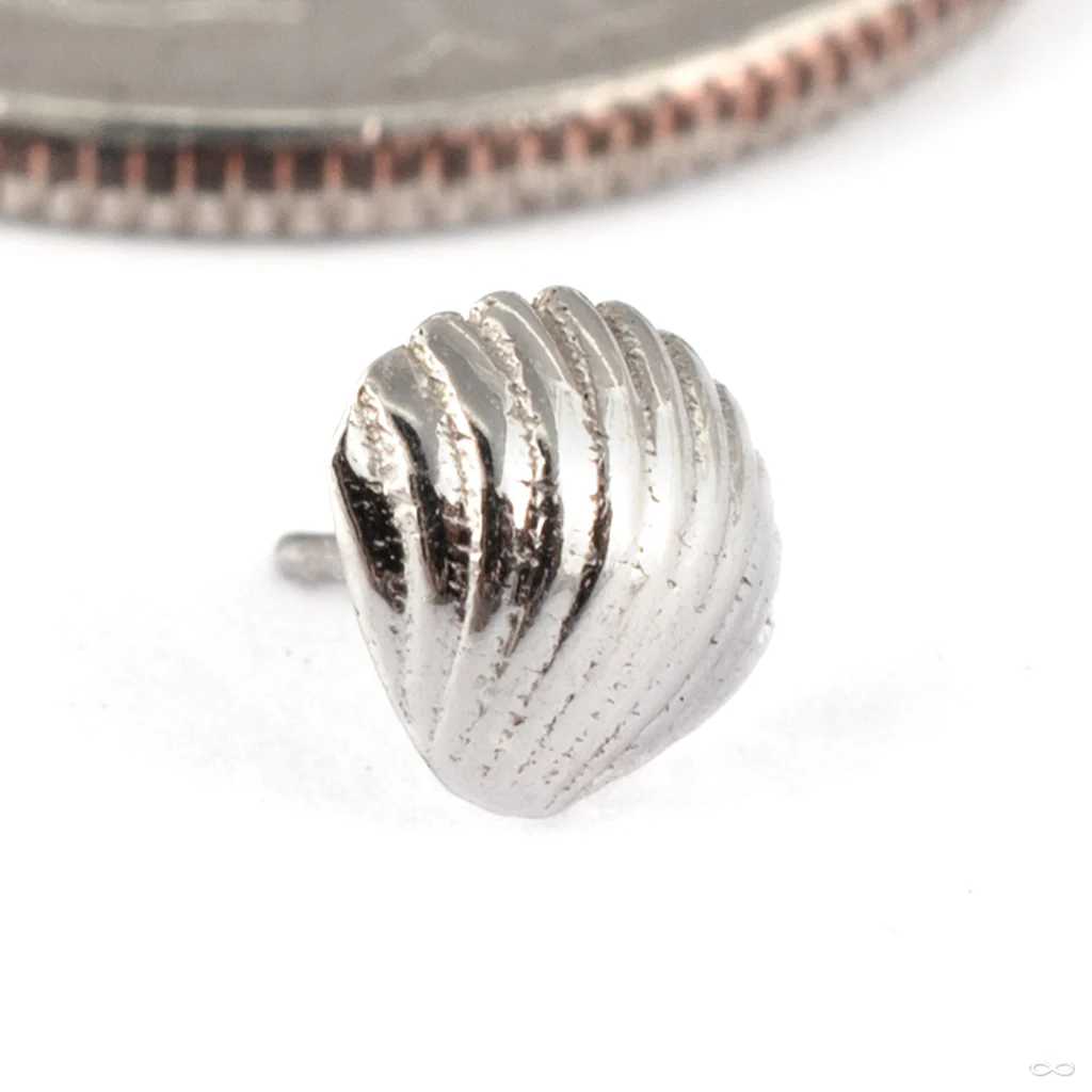 Shell Press-fit End in Gold from Tawapa
