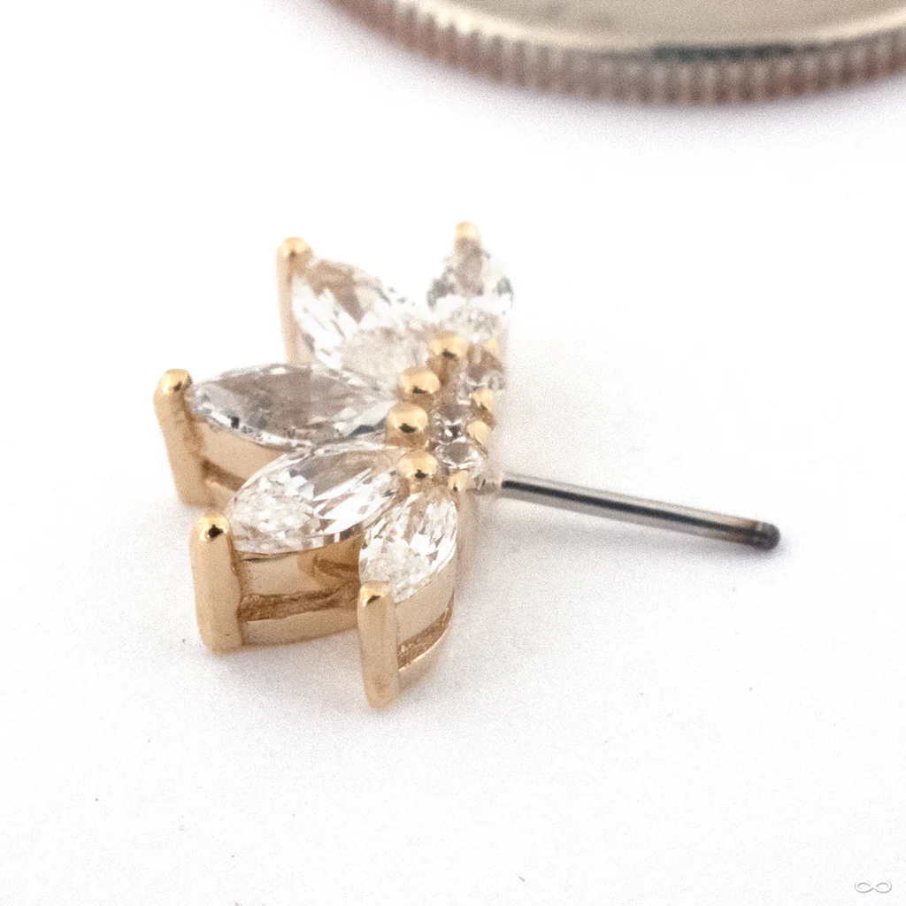 Side-set Valentina Press-fit End in Gold from Buddha Jewelry - Image 2