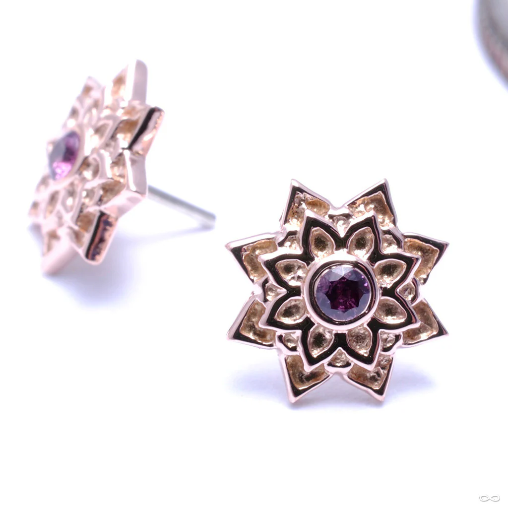 Sol Press-fit End in Gold from BVLA - Image 5