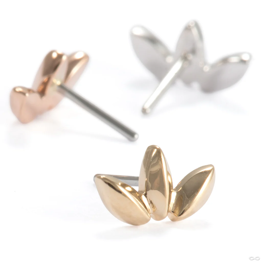 Solace Press-fit End in Gold from Ember Body Jewelry