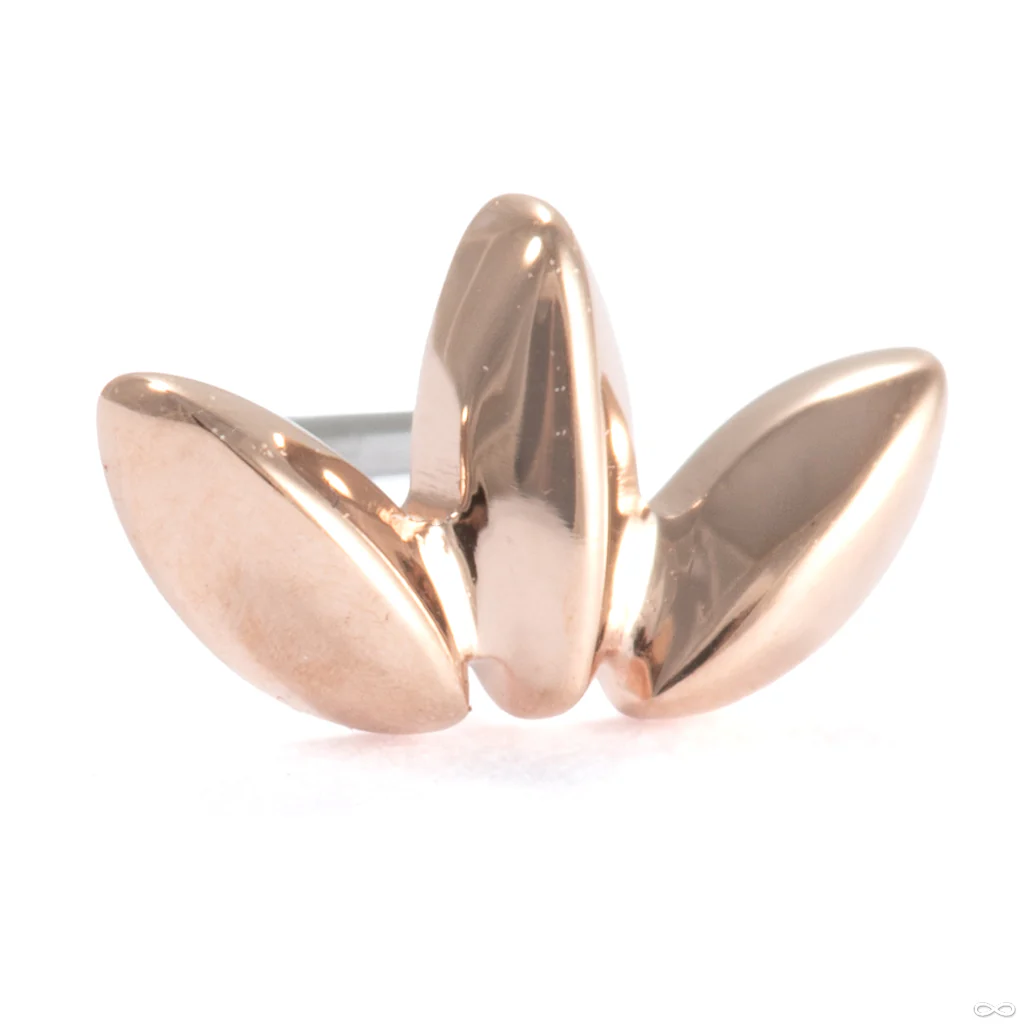 Solace Press-fit End in Gold from Ember Body Jewelry - Image 2