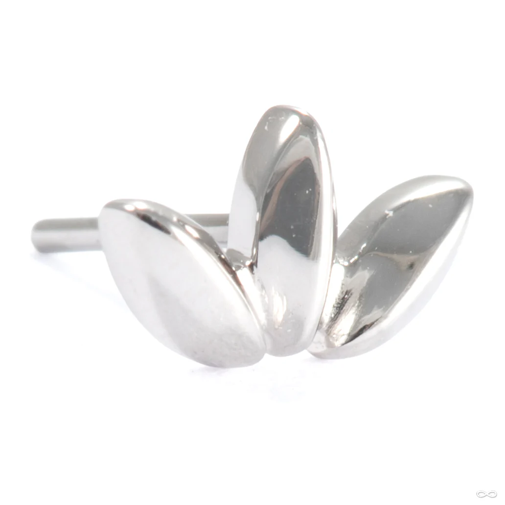 Solace Press-fit End in Gold from Ember Body Jewelry - Image 3