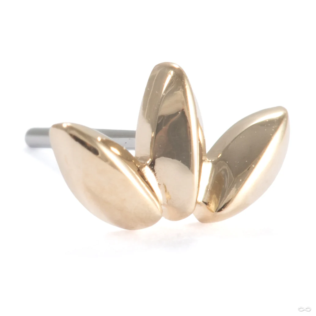 Solace Press-fit End in Gold from Ember Body Jewelry - Image 4