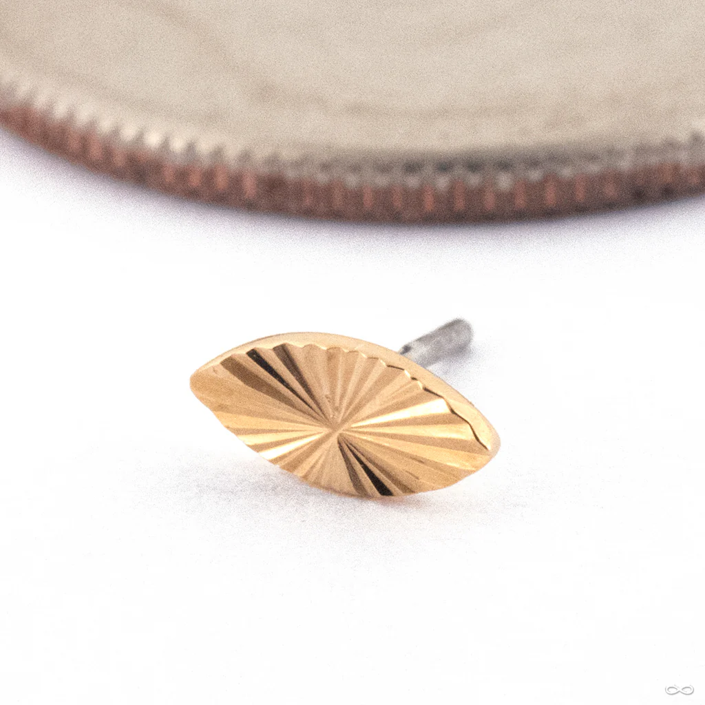 Sunray Seed Press-fit End in Gold from Quetzalli - Image 4