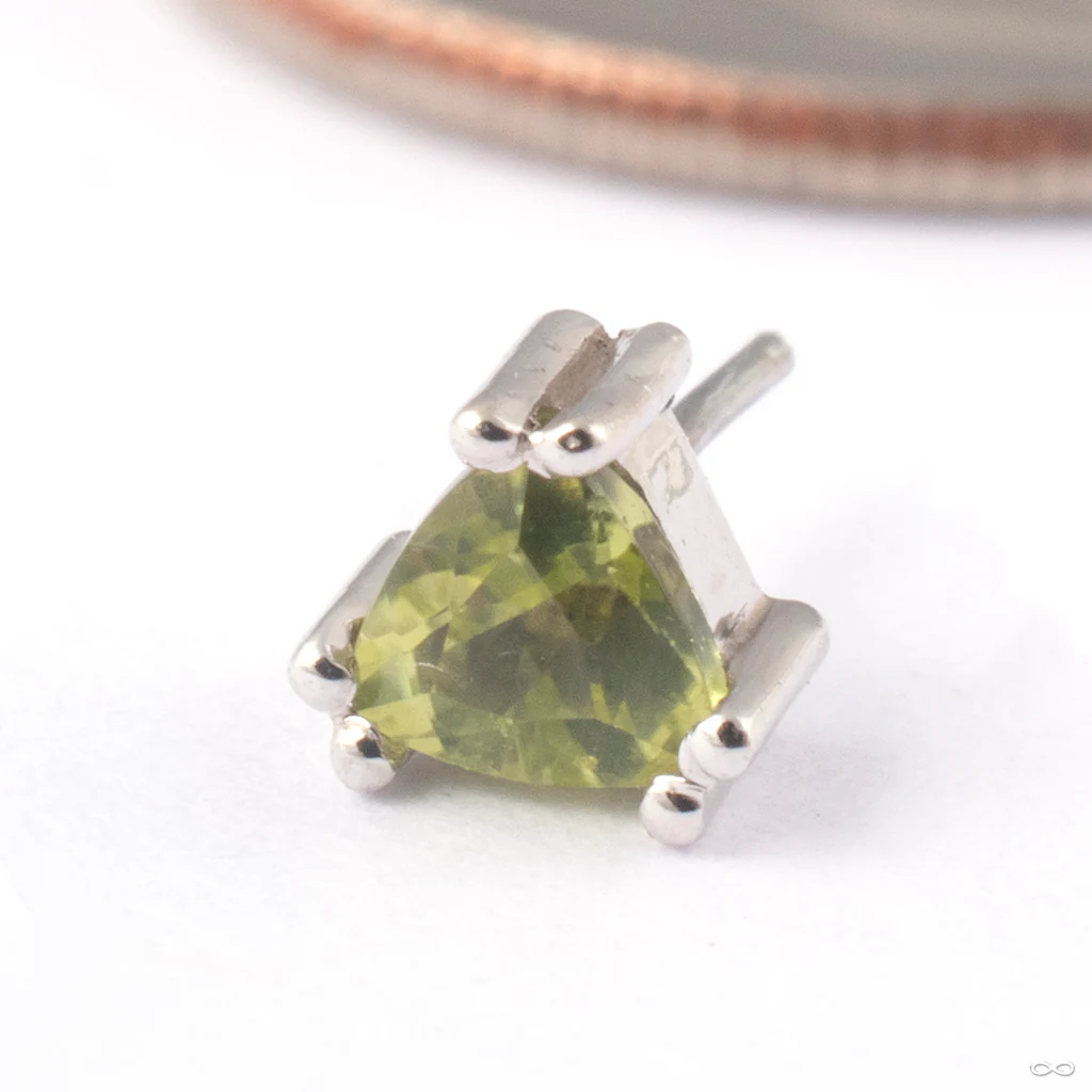 Tanti Press-fit End in Gold from BVLA - Image 2