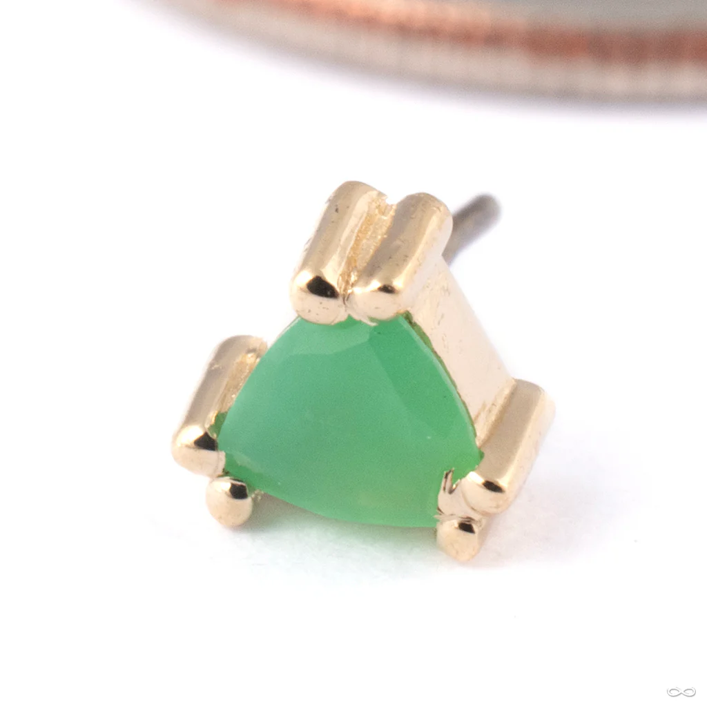 Tanti Press-fit End in Gold from BVLA - Image 4