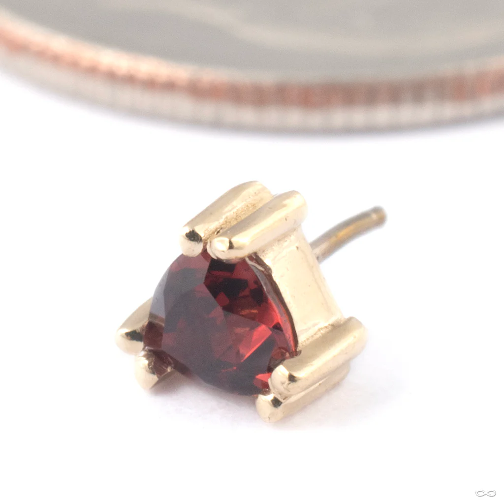 Tanti Press-fit End in Gold from BVLA - Image 5