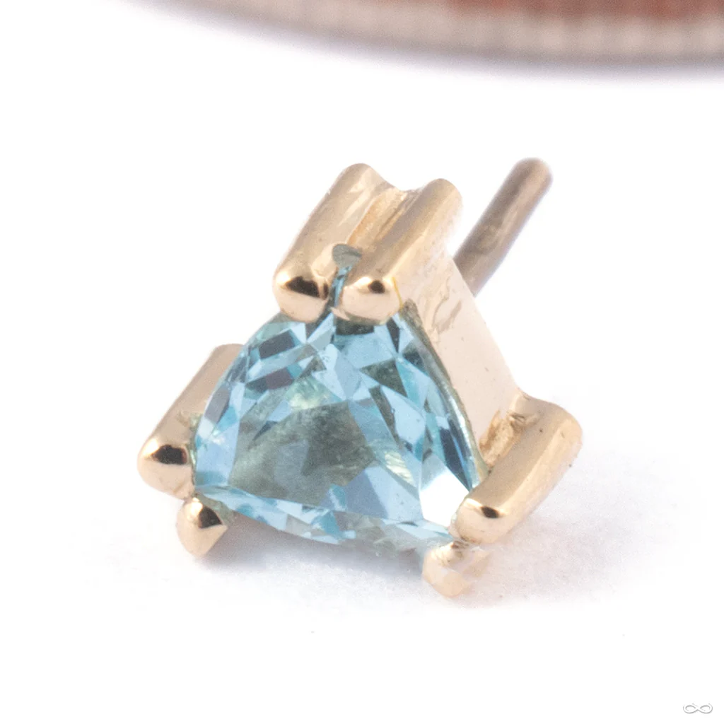 Tanti Press-fit End in Gold from BVLA - Image 7