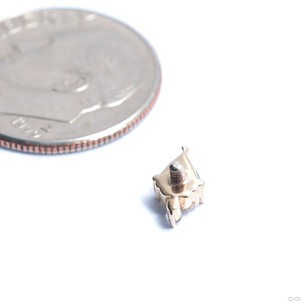 Tau Threaded End in Gold from BVLA - Image 5